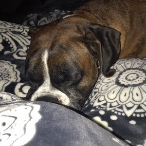 Meet your Posher, Brittany